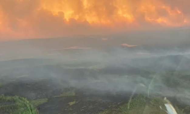 Canada : 7,1 millions d’hectares brûlés par les flammes 2 - Le Progrès Egyptien Canada : 7,1 millions d’hectares brûlés par les flammes 1 - Le Progrès Egyptien