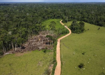 Brésil : Nouveau plan contre la déforestation de l’Amazonie