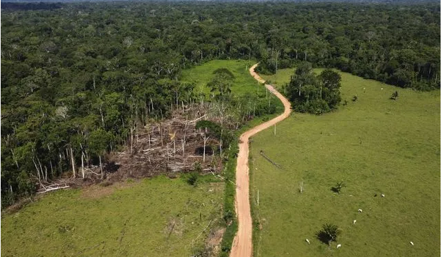 Brésil : Nouveau plan contre la déforestation de l’Amazonie 1 - Le Progrès Egyptien