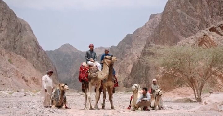 Réserves naturelles : Les « Histoires des tribus », soutien aux communautés locales 1 - Le Progrès Egyptien