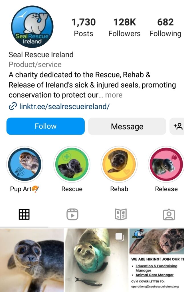 Seal Rescue Ireland, l'ONG qui sauve littéralement des bébés phoques 4 - Le Progrès Egyptien Seal Rescue Ireland, l'ONG qui sauve littéralement des bébés phoques 3 - Le Progrès Egyptien