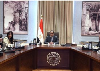 Madbouli examine maints dossiers importants