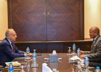 Relations privilégiées Egypte-Afrique du Sud