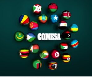 Egypte – Afrique: Une union contre vents et marées