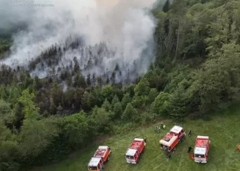 Finistère : Un incendie détruit des  hectares de végétation