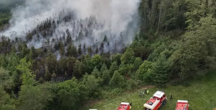 Finistère : Un incendie détruit des hectares de végétation 2 - Le Progrès Egyptien Finistère : Un incendie détruit des hectares de végétation 1 - Le Progrès Egyptien