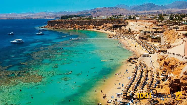 Le tourisme en Egypte revient en force 3 - Le Progrès Egyptien
