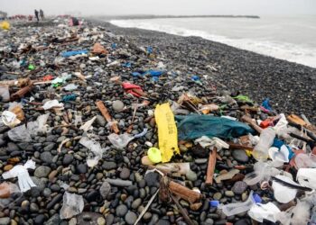 Réemploi dans la restauration : Comment le plastique refait surface