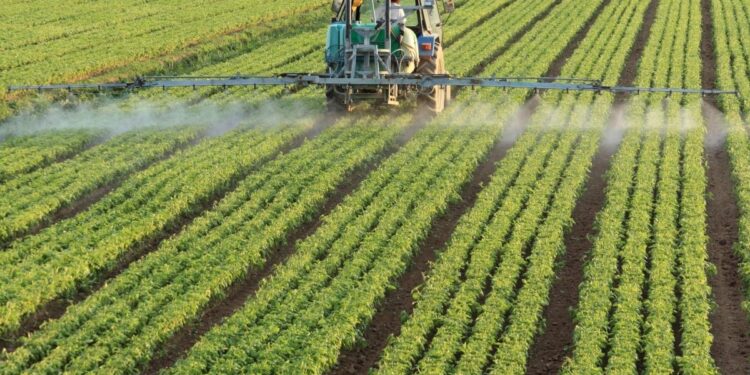 Hausse des investissements agricoles 1 - Le Progrès Egyptien