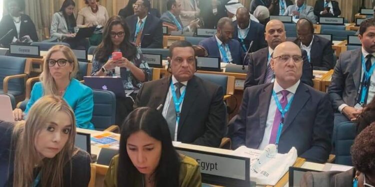 Amna : « Vie Décente » est une expérience pionnière mondiale 1 - Le Progrès Egyptien