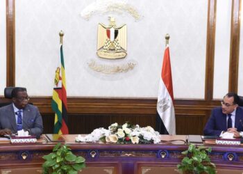 Madbouli rencontre le vice-président et ministre de la Santé du Zimbabwe