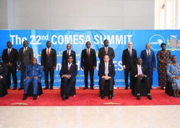 Al-Sissi prend une photo-souvenir avec les dirigeants des pays du COMESA