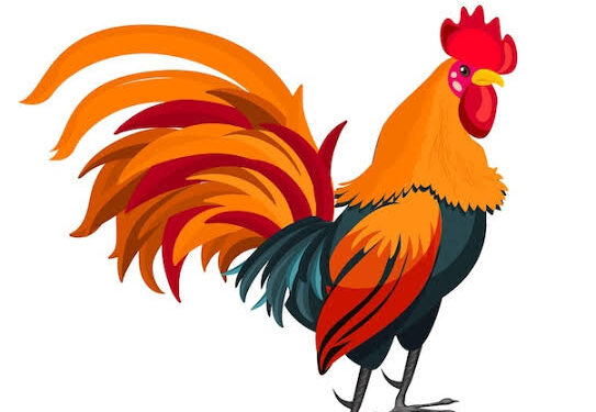 La fille du fermier (5) 1 - Le Progrès Egyptien