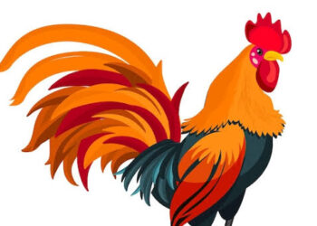 La fille du fermier (5)