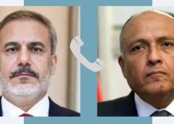 Choucri félicite son homologue turc