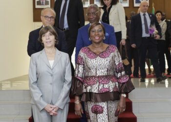 La France veut rester un “partenaire pertinent” en Afrique