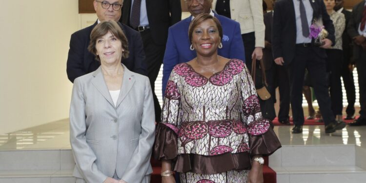 La France veut rester un "partenaire pertinent" en Afrique 2 - Le Progrès Egyptien La France veut rester un "partenaire pertinent" en Afrique 1 - Le Progrès Egyptien