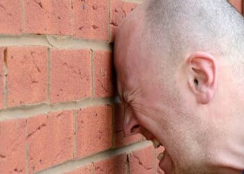 Un proverbe, une histoire : ” À se cogner la tête contre les murs, il ne vient que des bosses. “