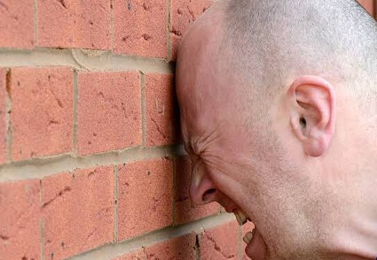 Un proverbe, une histoire : " À se cogner la tête contre les murs, il ne vient que des bosses. " 1 - Le Progrès Egyptien