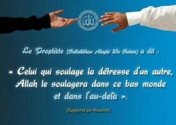 Valeurs de l’Islam : La fraternité dans l’Islam