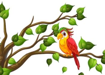 Un proverbe, une histoire