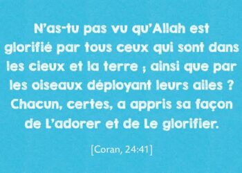 Animaux et humains ont des droits (1)