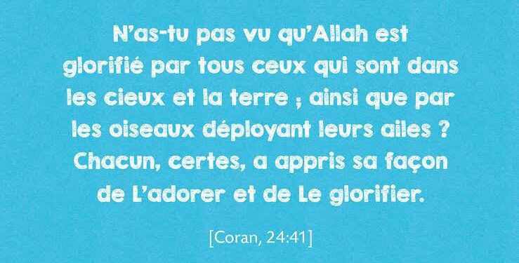 Animaux et humains ont des droits (1) 1 - Le Progrès Egyptien
