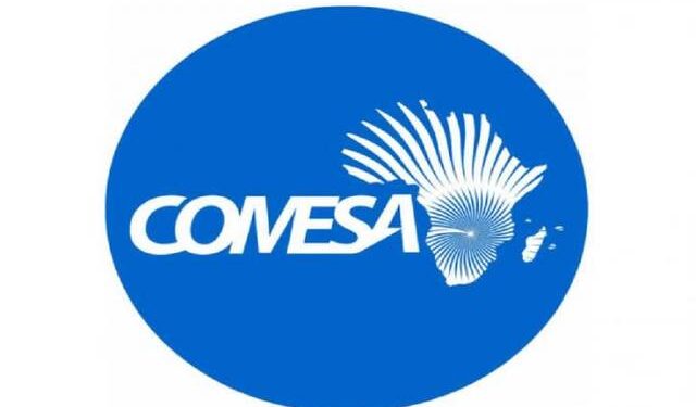 Le rôle de l'Egypte est important pour faire face aux défis de l'Afrique 2 - Le Progrès Egyptien Le rôle de l'Egypte est important pour faire face aux défis de l'Afrique 1 - Le Progrès Egyptien