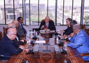 Al-Qassir : Soutien de l’Egypte aux pays arabes  