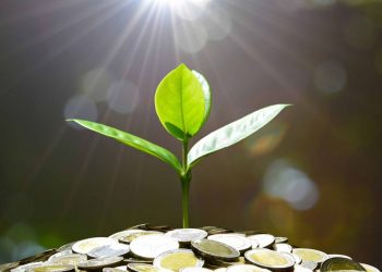 Investir « vert » pour l’avenir