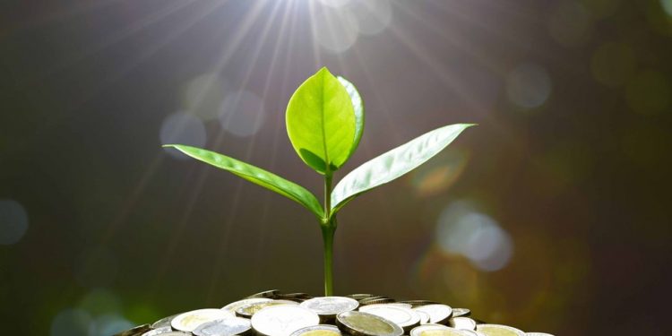 Investir « vert » pour l’avenir 1 - Le Progrès Egyptien