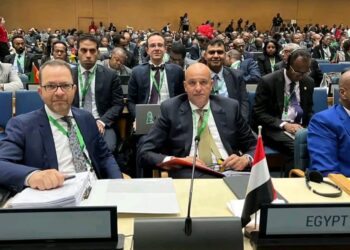 L’Egypte à la 43e session du conseil exécutif de l’UA