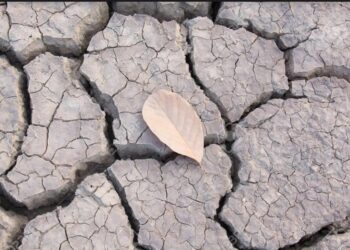 Le saviez-vous ?14 pays arabes parmi les plus secs du monde