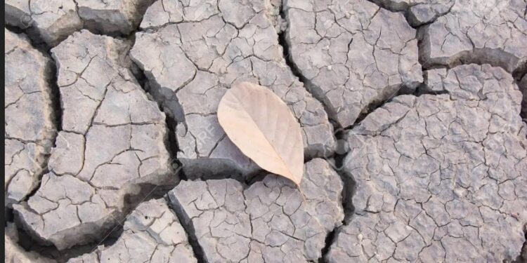 Le saviez-vous ?14 pays arabes parmi les plus secs du monde 1 - Le Progrès Egyptien