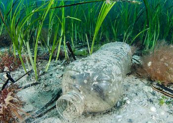 La Méditerranée, une des mers les plus impactées au monde