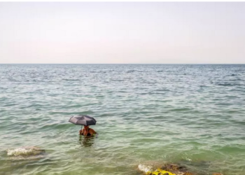 Canicule et intempéries persistent dans l’hémisphère nord