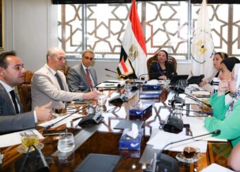 Préparatifs du pavillon de l’Egypte à la COP28 aux EAU 2 - Le Progrès Egyptien