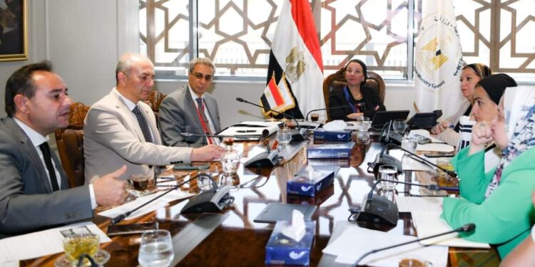 Préparatifs du pavillon de l’Egypte à la COP28 aux EAU 1 - Le Progrès Egyptien