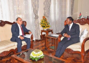 L’Égypte et le Kenya examinent les relations bilatérales