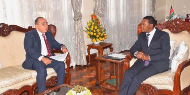 L’Égypte et le Kenya examinent les relations bilatérales 1 - Le Progrès Egyptien