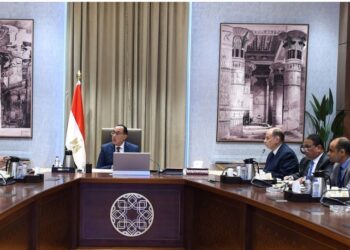 Madbouli examine les projets de développement à Assiout