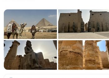 Les réseaux sociaux parlent #égyptien 