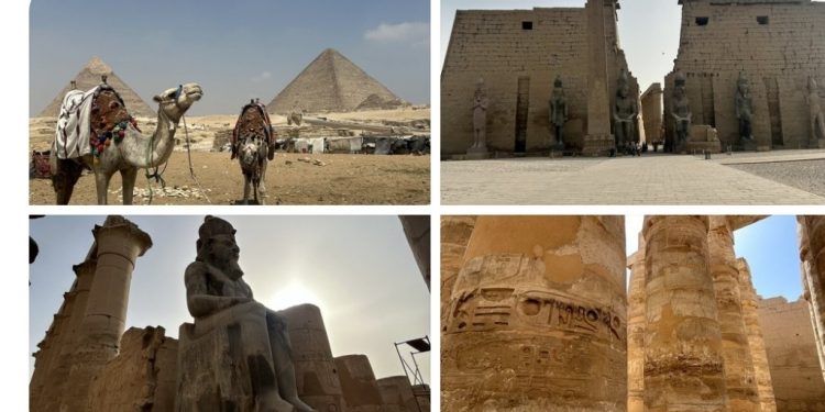 Les réseaux sociaux parlent #égyptien 2 - Le Progrès Egyptien Les réseaux sociaux parlent #égyptien 1 - Le Progrès Egyptien