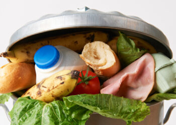 Gaspillage alimentaire : Une responsabilité communautaire ou individuelle ?