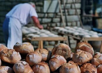 Un proverbe, une histoire