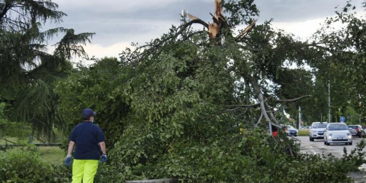 Incendies sous contrôle en Grèce, violents orages en Italie 2 - Le Progrès Egyptien Incendies sous contrôle en Grèce, violents orages en Italie 1 - Le Progrès Egyptien