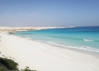 La nouvelle “Ras Al-Hikma”, zone d’attraction  hautement prisée