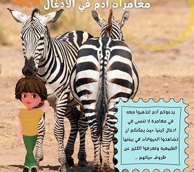 “Adam au jungle”, le trio créateur par excellence