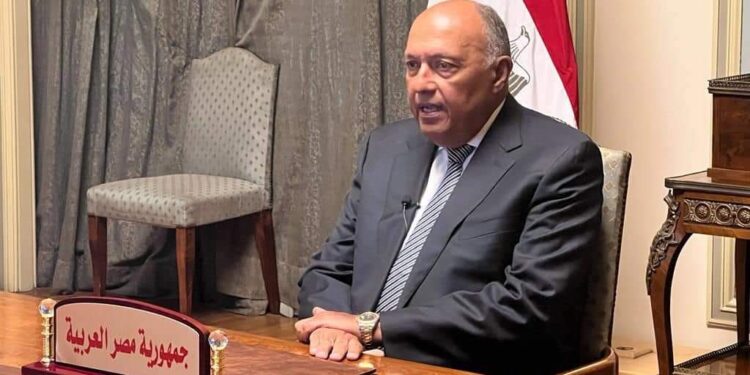 Choucri : L'Egypte travaille dur en faveur du peuple soudanais 1 - Le Progrès Egyptien
