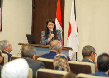 Egypte-Japon : Dialogue politique de haut niveau
